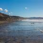 Torrey Pines State Natural Reserve (SNR)