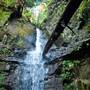 Forest of Nisene Marks State Park (SP), The