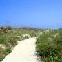 Huntington State Beach (SB)