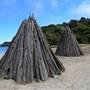 Tomales Bay State Park (SP)