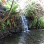 Portola Redwoods State Park (SP)