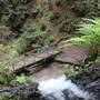 Russian Gulch State Park (SP) / Russian Gulch Bridge - Highway 1