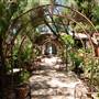 San Juan Bautista State Historic Park (SHP)