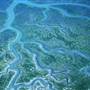 Humboldt Bay National Wildlife Refuge