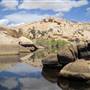 Joshua Tree National Park - NPS