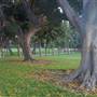 Alondra Community Regional Park
