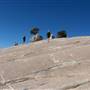 Olmsted Point