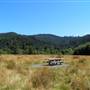 Redwood National & State Parks