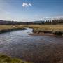 Tuolumne Meadows