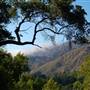 Pfeiffer Big Sur State Park (SP)