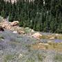 Lassen Volcanic National Park