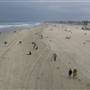 Huntington State Beach (SB)