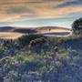 Oceano Dunes State Vehicular Recreation Area (SVRA) / Pismo State Beach (SB)