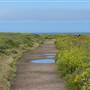 Montana de Oro State Park (SP)