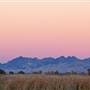 Colusa National Wildlife Refuge