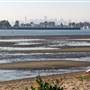 Robert W. Crown Memorial State Beach (SB) - East Bay Regional Park District