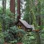 John B. Dewitt Redwoods State National Reserve (SNR)