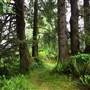 Del Norte Coast Redwoods State Park (SP) within the Redwood National and State Parks