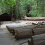Big Basin Redwoods State Park (SP)