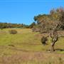 Sugarloaf Ridge State Park (SP)