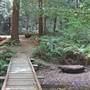 Butano State Park (SP)