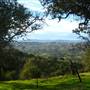 Pacheco State Park (SP) and Windmill Farm / Wind Energy