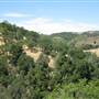 Henry W. Coe State Park (SP)