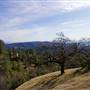 Henry W. Coe State Park (SP)
