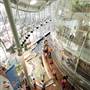 California Academy of Sciences