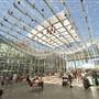 California Academy of Sciences