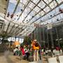 California Academy of Sciences