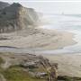 San Gregorio State Beach (SB)
