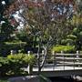 Earl Burns Miller Japanese Garden - California State University Long Beach - CSULB