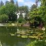 Earl Burns Miller Japanese Garden - California State University Long Beach - CSULB