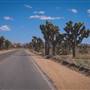 Joshua Tree National Park - NPS