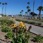 Will Rogers State Beach (SB) / FilmLA - County Beaches & Harbors