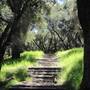 Tapia Park @ Malibu Creek State Park (SP)
