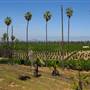 California Citrus State Historic Park (SHP)