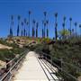 California Citrus State Historic Park (SHP)