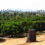 California Citrus State Historic Park (SHP)