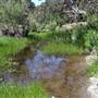 Santa Rosa Plateau Ecological Reserve - Riverside County & California Department of Fish & Wildlife (CDFW)