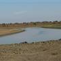 Yolo Bypass Wildlife Area - California Department of Fish & Wildlife (CDFW)