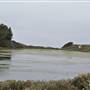 Burton Mesa Ecological Reserve - California Department of Fish & Wildlife (CDFW)