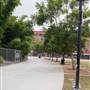 Roads and Surfaces at Exposition Park