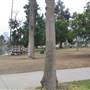 MacArthur Park and Tunnels