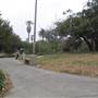 MacArthur Park and Tunnels