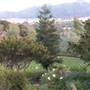 El Campeon Farms - Windy Hill Ranch