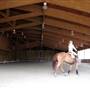 El Campeon Farms - Windy Hill Ranch