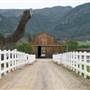 Windy Hill Ranch - El Campeon Farms