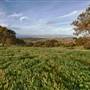 Fort Ord National Monument